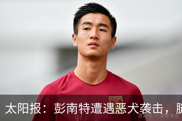 太阳报：彭南特遭遇恶犬袭击，腿部缝50余针，自家爱犬救主