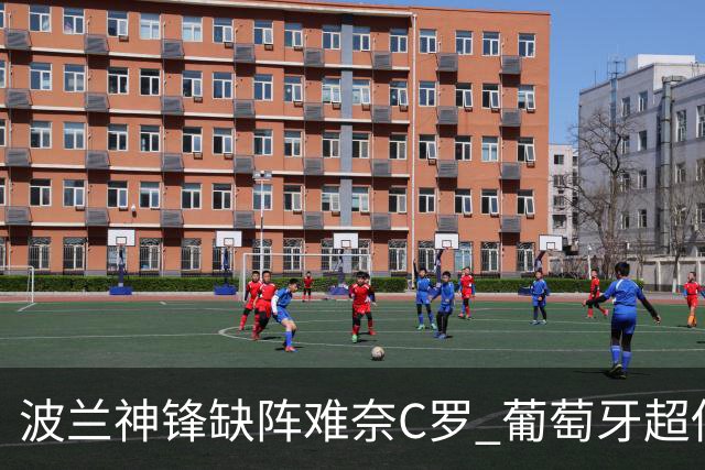 波兰神锋缺阵难奈C罗 葡萄牙超低赔欲迎大胜