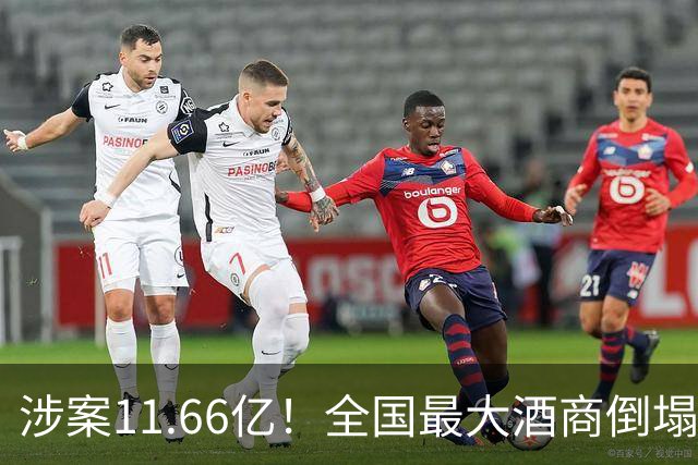 涉案11.66亿！全国最大酒商倒塌，这一造富神话彻底破灭