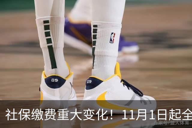 社保缴费重大变化！11月1日起全面执行