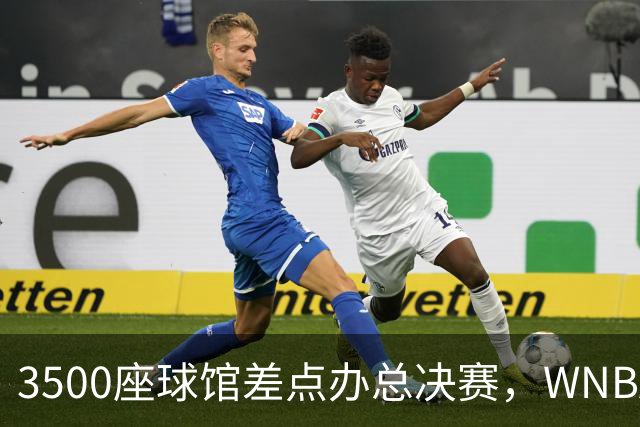 3500座球馆差点办总决赛，WNBA改到17000座